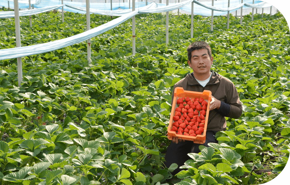 代表挨拶